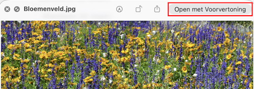 Snelle weergave macOS 26